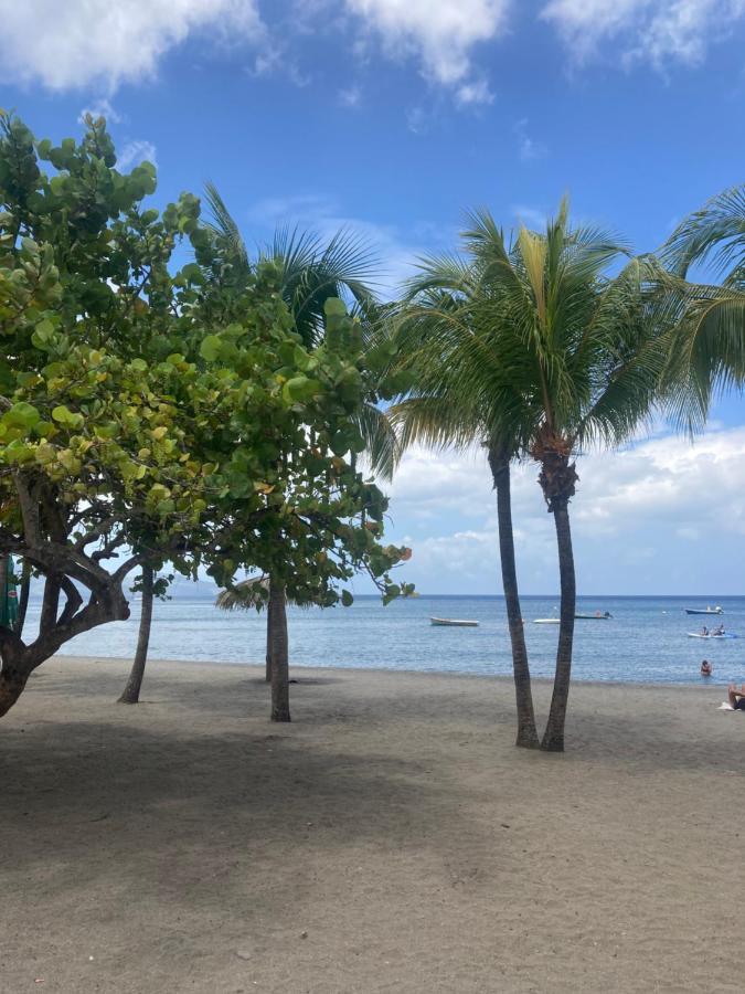 Ti Repos Martinique - Maison Avec Spa Шелшер Екстериор снимка
